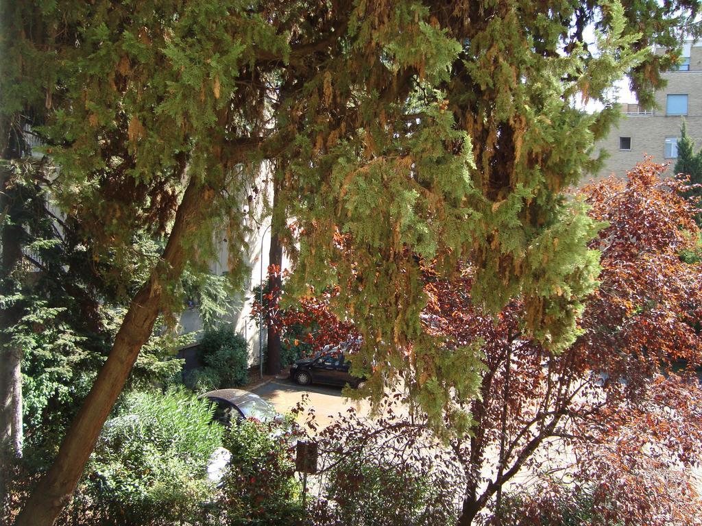 Villa Sciarra Rom Rum bild